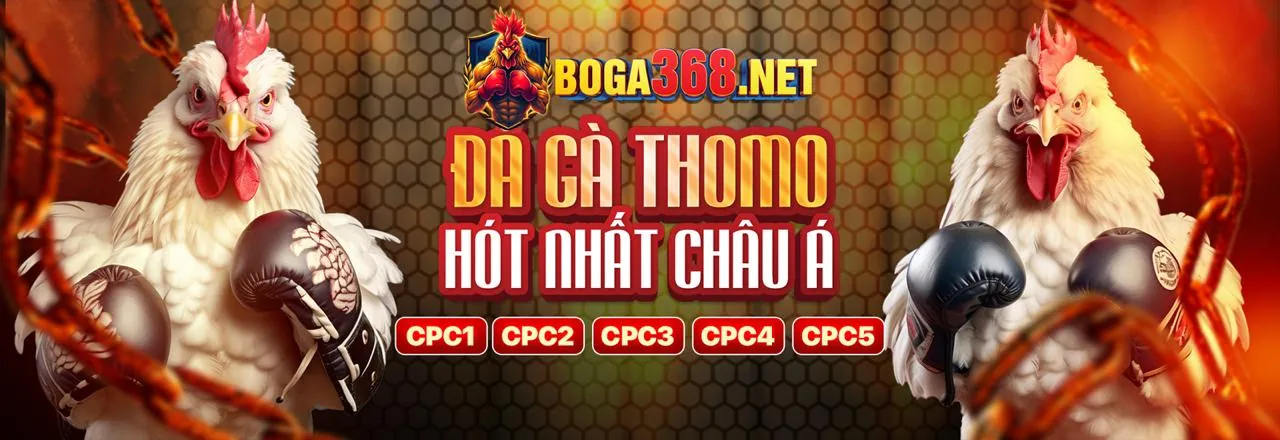 Hình ảnh chào mừng đăng ký Đá Gà Thomo 67 với ưu đãi hấp dẫn