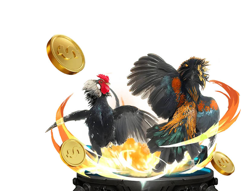 Tầm nhìn và sứ mệnh của Đá Gà Thomo 67